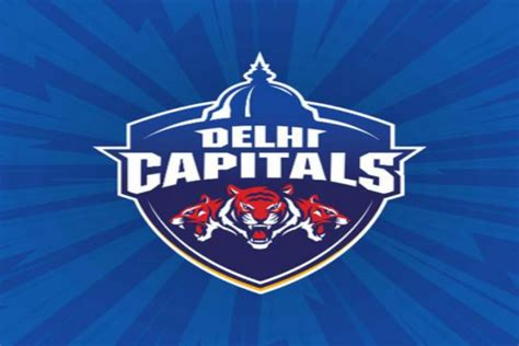 Delhi Capital's Team History, New Players, Expensive Players, IPL 2021 ...