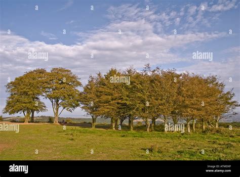 The Quantock Hills in the Somerset Countryside England Stock Photo - Alamy