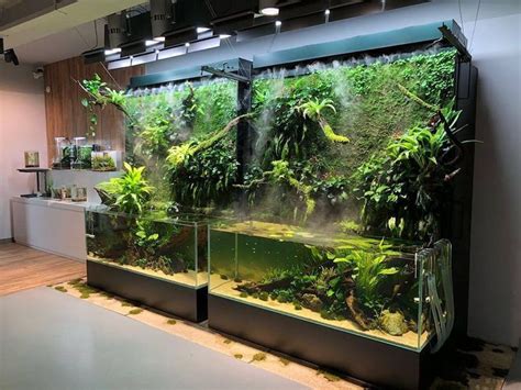 Mur végétal | Paludarium, Déco aquarium, Décoration appartement