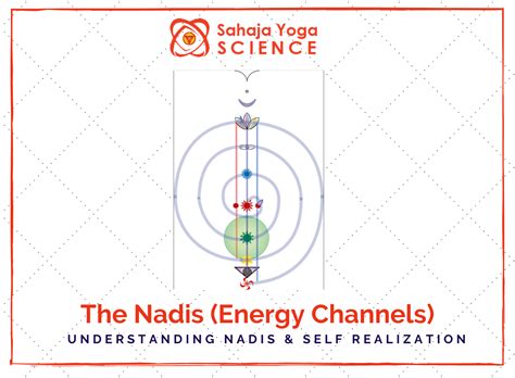 The Nadis (Energy Channels) – Sahaja Yoga Science