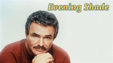 EVENING SHADE (1990-94 Burt Reynolds) 93 of 98 eps on 17 DVDs in 8.5 quality