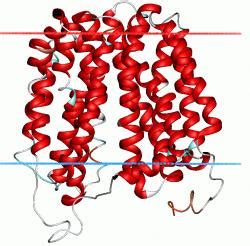 PERMEASE