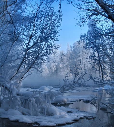 Beautiful Winter Scenes (15 photos)