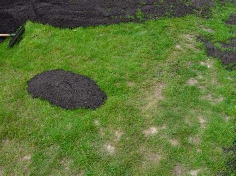 Top Dressing Lawn with Compost: When, How + Benefits | Lawn Model