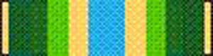 Armed Forces Service Medal – Superthinribbons