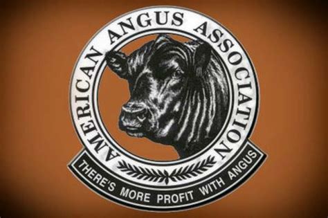 Local farmer elected to American Angus Association board | Laker ...