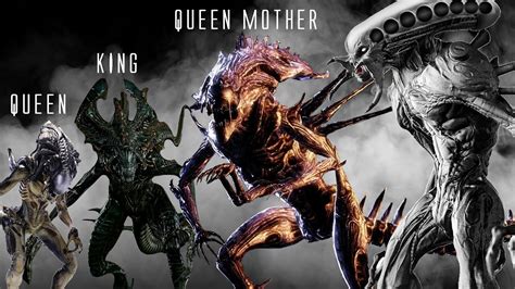 Biggest Xenomorphs: Alien Size Comparison AvP Central