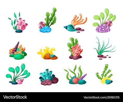 Underwater plants seaweed and seashells from Vector Image