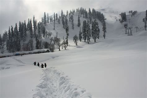 Kashmir records a full house this winter season | Times of India Travel