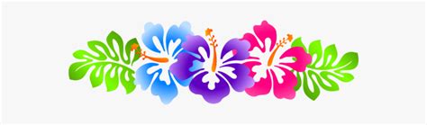 File Clip Art Borders - Hawaiian Flower Border Transparent, HD Png ...