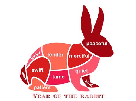 The Year of the Rabbit Traits - Rabbit Chinese Zodiac