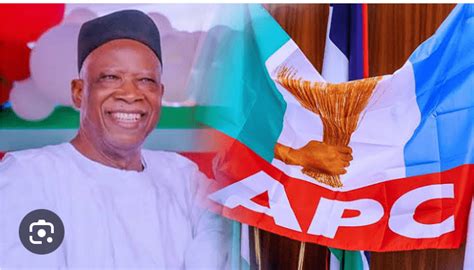 The Resignation of the Nigerian APC Chairman: A Turning Point for the ...