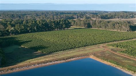 Vasse Felix - Margaret River Wine Producer | Wine-Searcher