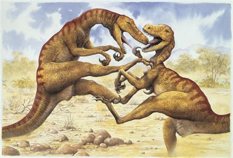 Utahraptor vs. Iguanodon - Who Wins?