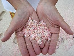 Pink Sand Beach — Harbour Island Bahamas