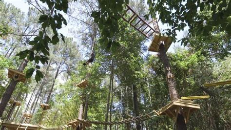 TreeRunner Adventure Park Opens in North Raleigh | abc11.com