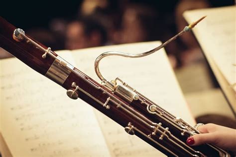 20 Best Bassoon Reviews 2022 – Best Bassoon Brands - CMUSE