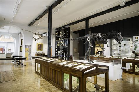 Birmingham's Lapworth Museum taking on Tate for Museum of the Year title – Edwin Ellis