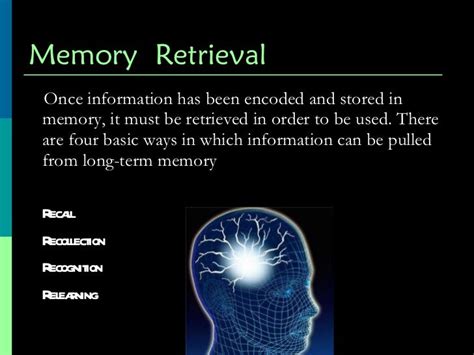 Human Memory - Psychology