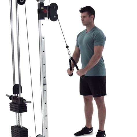 Cable Machine Tricep Rope Pulldown by Thomas King - Exercise How-to - Skimble