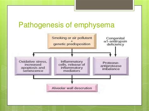 Emphysema