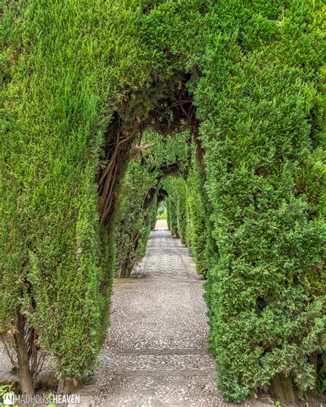 Alhambra Gardens and Generalife | A Tour Through Paradise