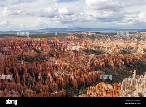 Bryce Canyon - red spiky rocks in Bryce canyon in Utah. Bryce canyon amphitheater overlook with ...