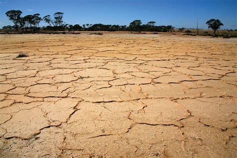 What should Australia do about drought?