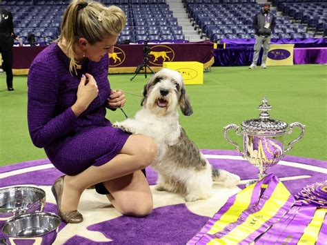 The Westminster dog show winner is the first of its breed to be thrown ...