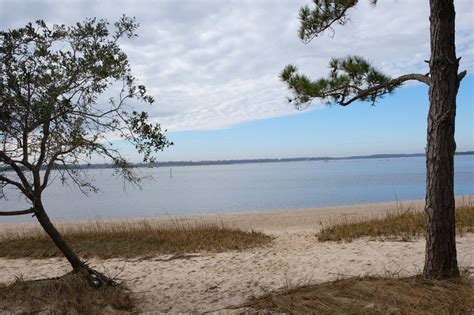 CAROLINA BEACH STATE PARK - 124 Photos & 42 Reviews - Parks - 1010 State Park Rd, Carolina Beach ...