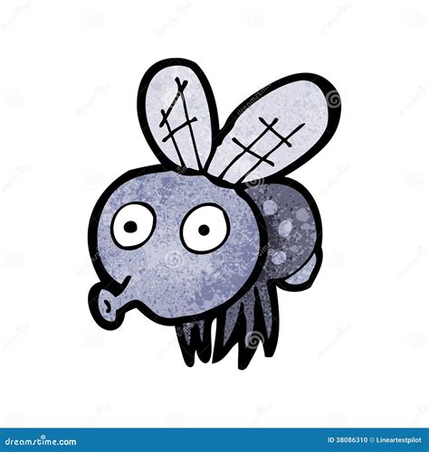 Cartoon funny fly stock vector. Illustration of traditional - 38086310