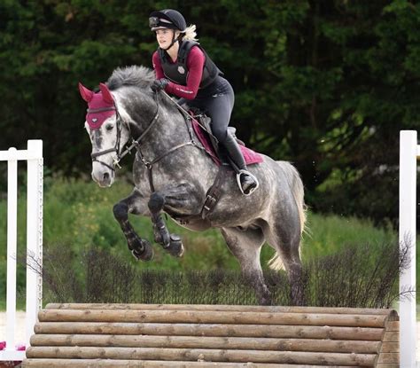 Dapple Grey Arena Cross County | Dapple grey horses, Grey horse, Eventing horses