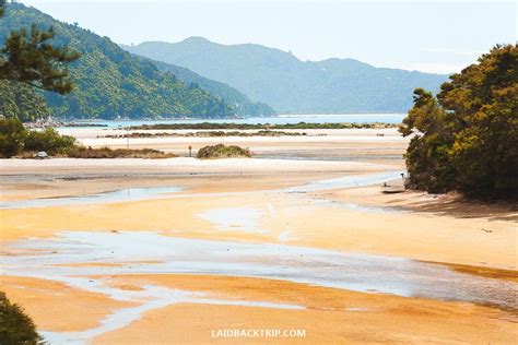 Abel Tasman Coast Track: The Only Hiking Guide You Need — LAIDBACK TRIP