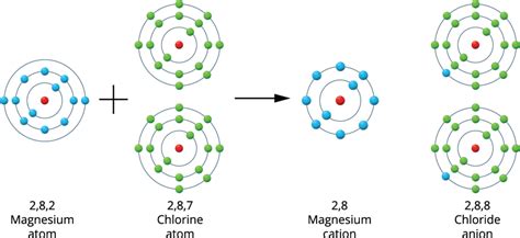 Formation of ionic bonding in NaCl and MgCl2 — lesson. Science State ...