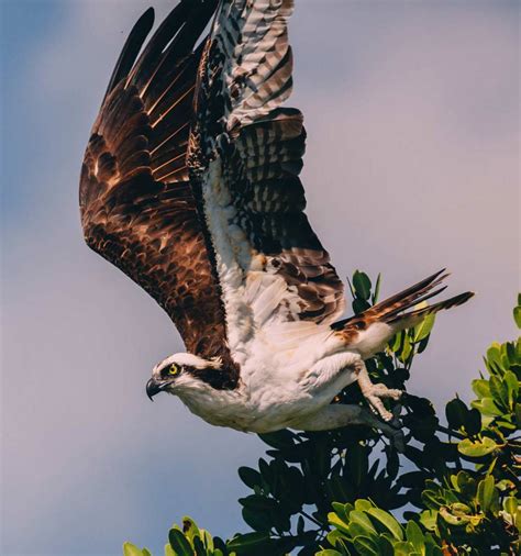 3 Ways to Visit Biscayne National Park – NATIONAL PARK QUEST