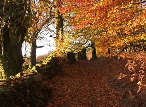 The Lake District | Autumn in the Lakes I spent the weekend … | Flickr