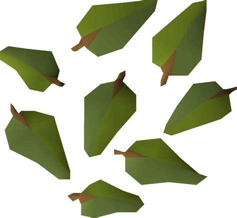 File:Yew leaves detail.png - OSRS Wiki