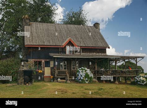 Castle Forest Lodge, Kirinyaga, Mount Kenya Stock Photo - Alamy