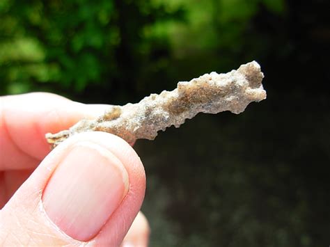 Fulgurite - Spirit Rock Shop