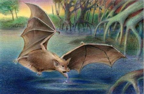 Giant Fossil Bats Out Of Africa, 35 Million Years Old | Ancient egypt, Prehistoric wildlife ...