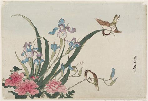 Katsushika Hokusai: Iris, Peonies, Sparrows, and Dragonfly - Museum of ...