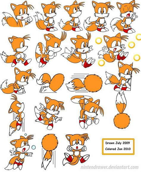 an orange fox cartoon character sheet with various poses and expressions, including the tail colors