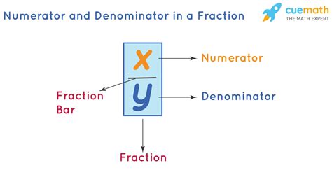 Numerator and Denominator - Definition | Difference | Examples