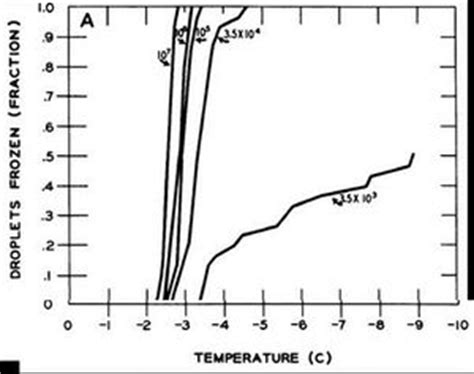 Bacterial nucleation in pseudomonas syringae - microbewiki