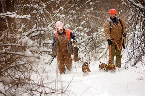 Small game hunting season forecast looks good - mlive.com