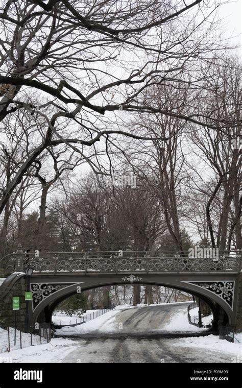 The South East reservoir bridge was built in 1864 by Calvert Vaux and the Cornell Ironworks ...