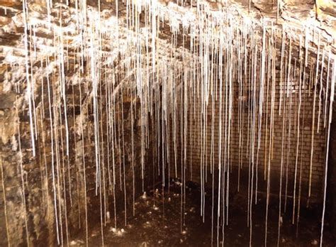 Stalactites in a pub cellar