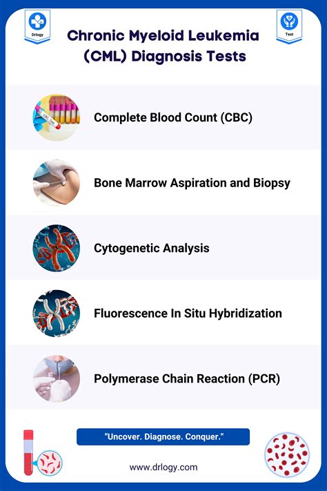 5 Simple and Reliable Diagnostic Test For CML Diagnosis - Drlogy