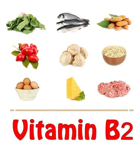 Does Vitamin B2 Make You Gain Weight