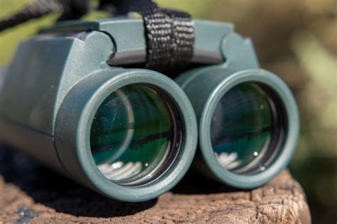 Best Binoculars 2020: Birding, Nature, and Outdoor | Reviews by Wirecutter